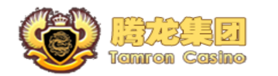 腾龙公司官方LOGO